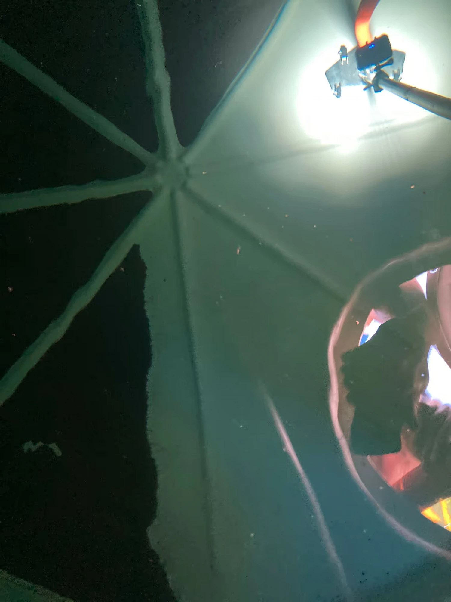 QuadClean process in progress inside the tank — sediment being extracted with underwater lighting